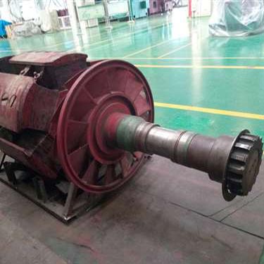 北京某變頻柜廠家試驗用電機T3200、1730-10KV轉子磁極線圈修復